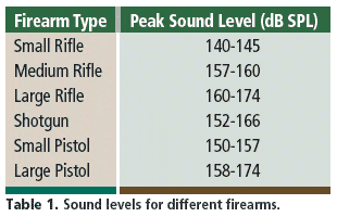 Table 1. Sound levels for different firearms.