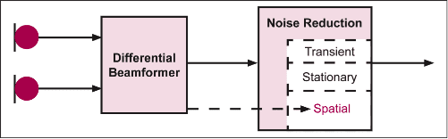 Optimizing Noise Reduction Using Directional Speech Enhancement