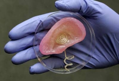 Princeton Scientists Use 3-D Printing to Create “Bionic Ear”