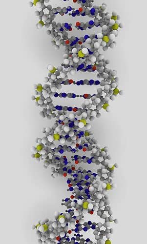 Goal of Identifying Nearly All Genetic Causes of Deafness Is Within Reach