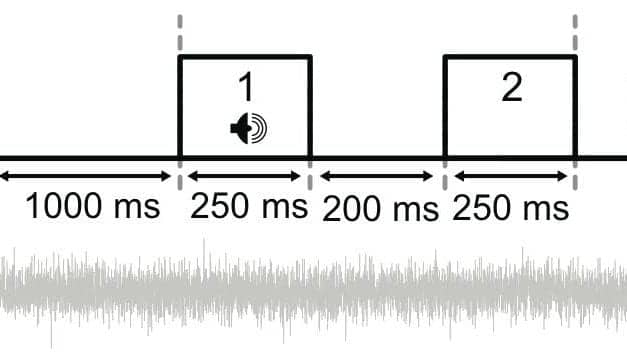 Single Tone Alerts Brain to Complete Sound Pattern