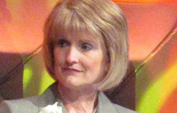 AAA Seeking New Executive Director After Departure of Cheryl Kreider Carey