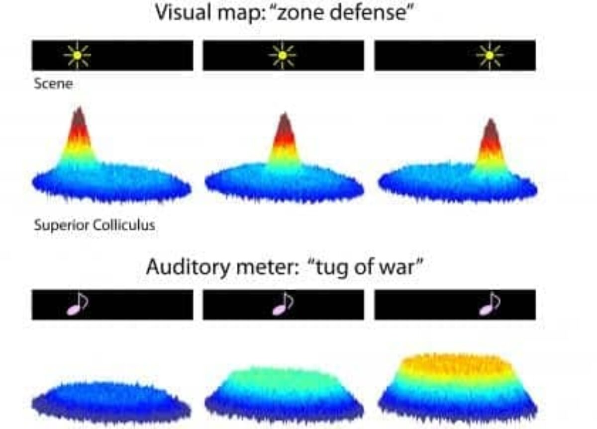 Related Image