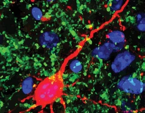 Researchers Looking into Darkness and Hearing Loss in Infants