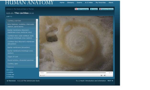 New Instructional Videos Shed New Light on Anatomy of Inner Ear
