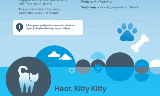 Sounds Your Pet Hears