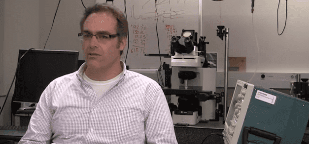 High-res Images Revealing New Findings About Ear’s Gain and Frequency Response