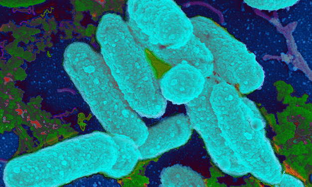 Scientists Find Link Between Antibiotics and Bacterial Biofilm Formation That Cause Chronic Ear Infections