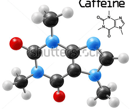 Caffeine Intake Associated with Lower Incidence of Tinnitus in Younger Women
