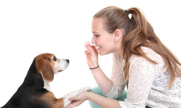 Dogs Process Speech Much Like We Do, Study Finds