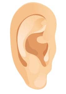 http://www.dreamstime.com/stock-photography-human-ear-image6036592