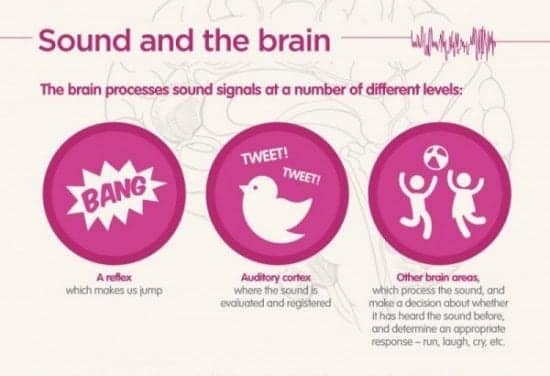 “Science of Hearing” Infographic Provides Hearing Education