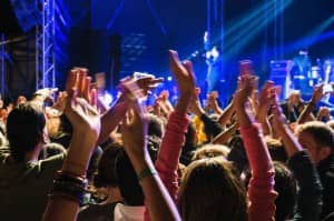 Crowd at Live Music Venue