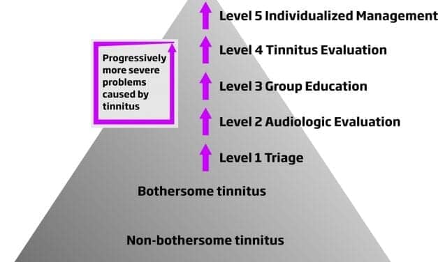 Tinnitus SoundSupport: A Flexible Solution for Both Patients and Hearing Care Professionals