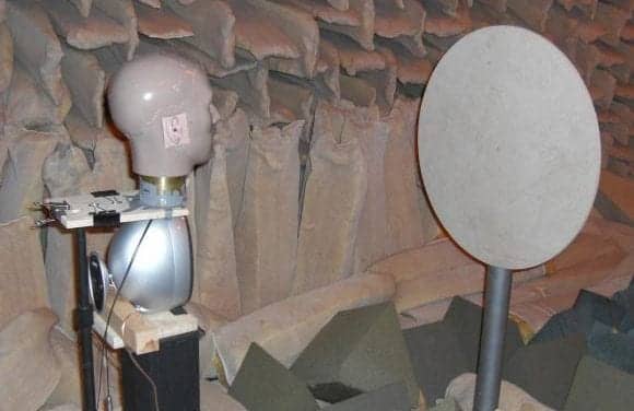 Scientists Find Echolocation Requires Keen Bilateral Hearing