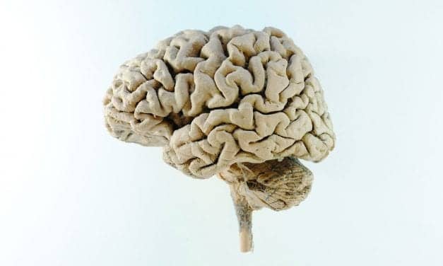 Mindfulness Based Tinnitus Stress Reduction: Unraveling the Gordian Knot of Tinnitus