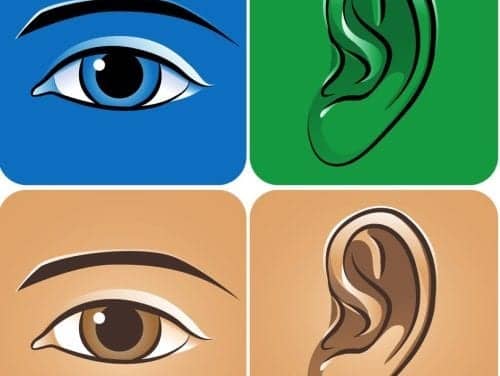 Researchers Develop Hearing Aid that Can “See” Visual Cues