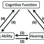Cognitive Function and the Patient Landscape