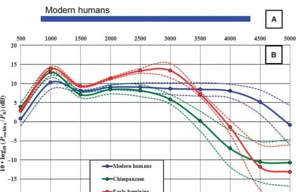Anthropologists Discover Hearing Abilities of Early Humans