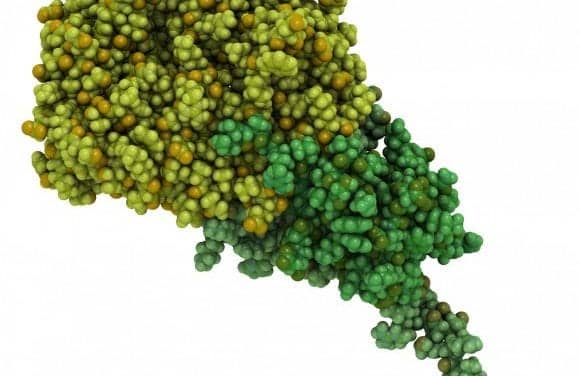 Gene Modification May Prevent Hereditary Hearing Loss, Study Finds