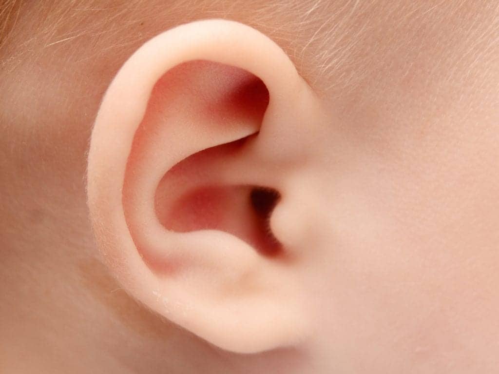 baby ear