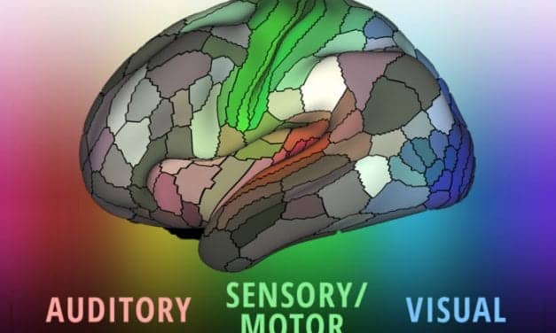 Brain Map Shows Landscape of Sensory Perception