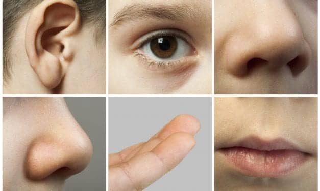 Research Explores Common Language of Hearing, Sight, Touch