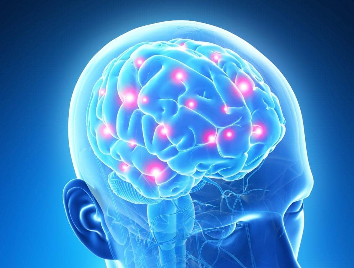 ...cortical network in Tinnitus Neuroscientists uncover brain The treatment...