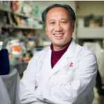 St Jude Researchers Regenerate Auditory Hair Cells in Mice