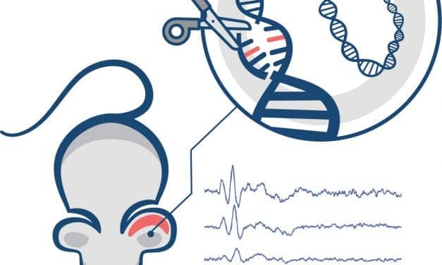 Gene Editing Technique May Help Preserve Hearing in Individuals with Genetic Mutation