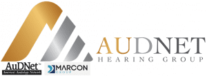 AudNetLogo