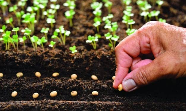 Planting the Seeds of Value in Hearing Care