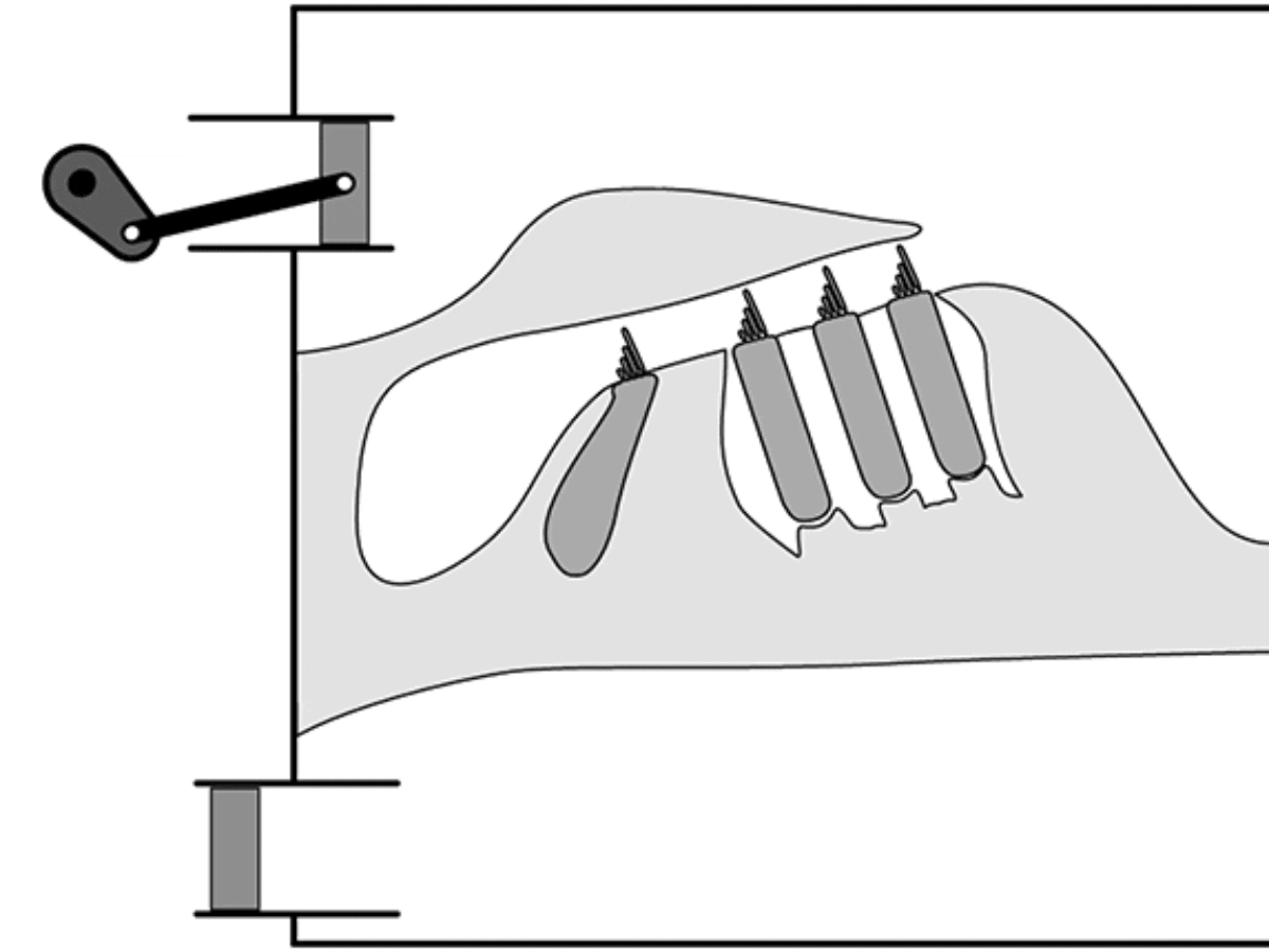 Mechanism Helps Explain the Ear's Exquisite Sensitivity | The