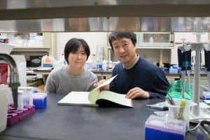 Postdoctoral researcher Ting-Ting Du, left, led the research in the lab of neuroscientist Jung-Bum Shin, right, that explores the role of the inner ear’s cuticular plate in hearing loss. (Photo by Dan Addison, University Communications)