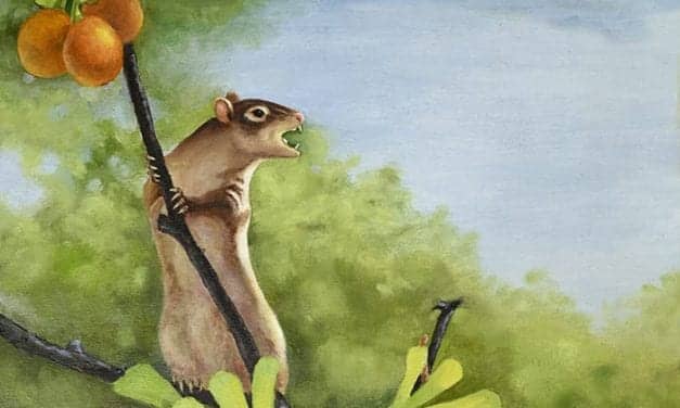 New Cretaceous Mammal Fossil Sheds Light on Evolution of Middle Ear