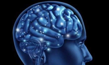 Johns Hopkins Research Illuminates How the Brain Processes Hearing