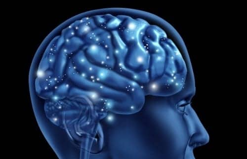 Johns Hopkins Research Illuminates How the Brain Processes Hearing