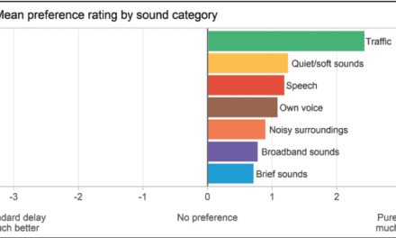 Reducing Hearing Aid Delay for Optimal Sound Quality: A New Paradigm in Processing