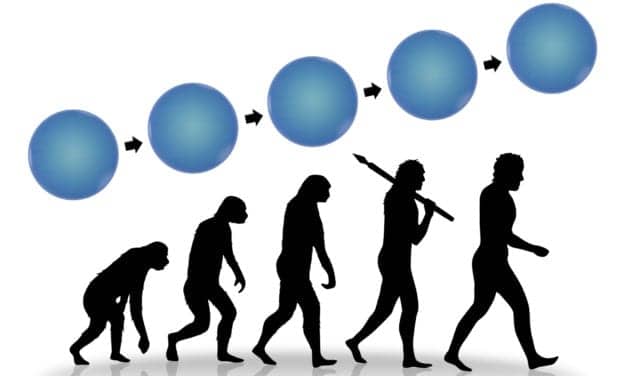 Researchers Find Earlier Origin to Human Language Pathway
