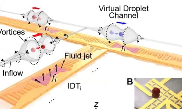 Duke Researchers Use Sound Waves to Transport Droplets on Rewritable Biomedical Chip
