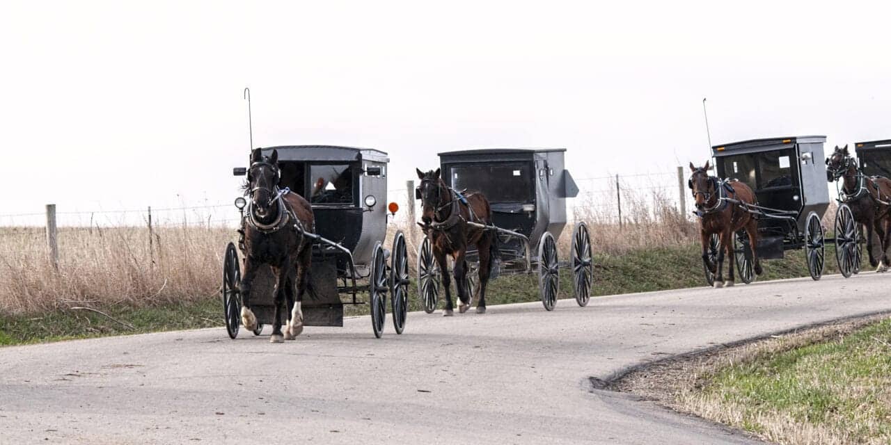 A Field Clinic Improves Hearing Loss Among Amish