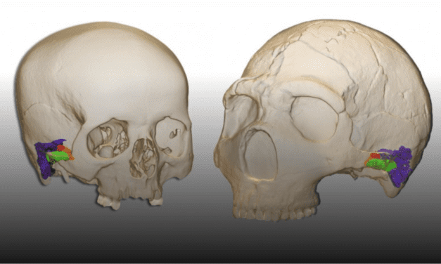 Neanderthals Could Perceive and Produce Speech
