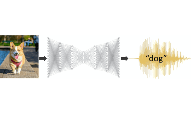 AI Networks Prefer Human Voice