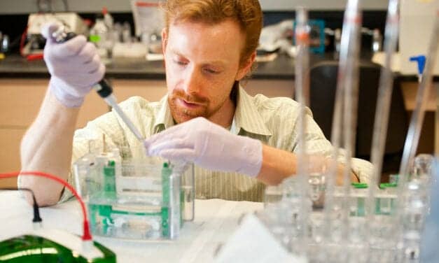 OSU Researchers Study Otoferlin Mutations