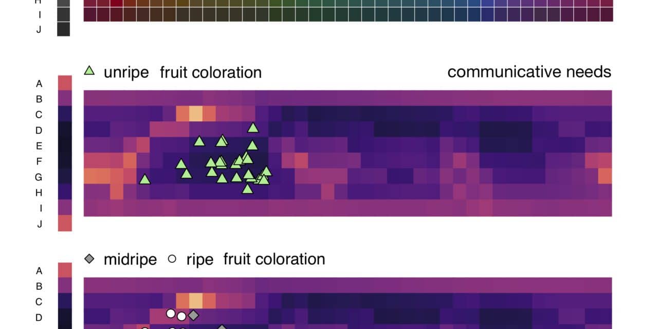 Mapping Words to Color