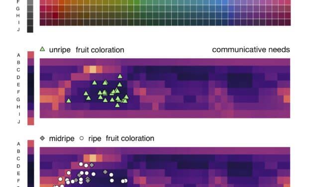 Mapping Words to Color