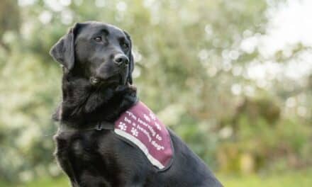 Assistance Dogs Improve Well-Being For Those with Hearing Loss