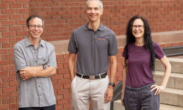 University of Illinois Researchers Use Sonification to Understand Science