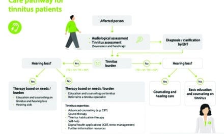 Why the One-Size-Fits-All Approach to Tinnitus is Not Successful