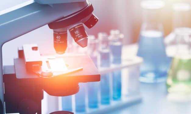 Researchers Suggest Cell Regrowth is Possible